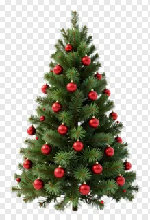 A decorated Christmas tree with red baubles.