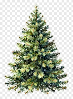 A watercolor-style Christmas tree with green needles and berries.