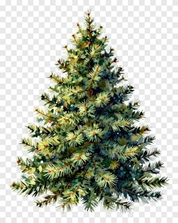 Watercolor Christmas tree with red berries.