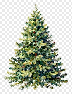 A watercolor-style Christmas tree with faint lights.