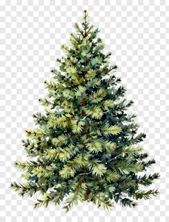A watercolor Christmas tree with layered branches.