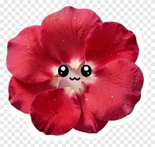 A red rose petal with a smiling face and gold glitter.