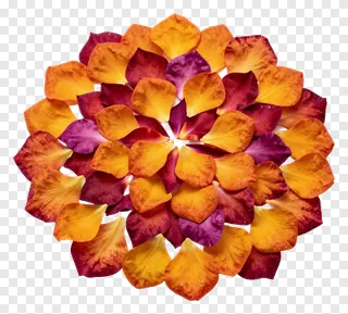 Circular arrangement of orange and purple flower petals.