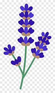 A stylized lavender sprig with gradient purple flowers.