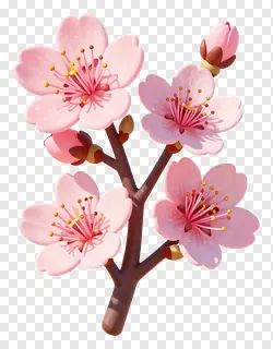 A branch with pink cherry blossoms and buds.