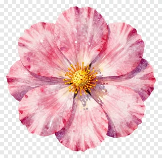 A pink watercolor flower with a yellow center.