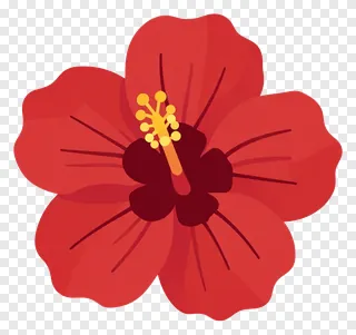 A red hibiscus flower with an orange center.