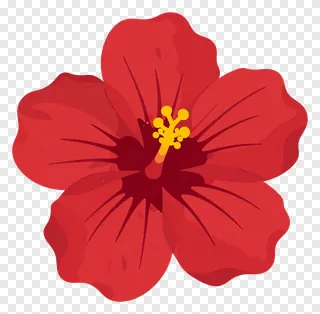 A red hibiscus flower with a yellow stamen.