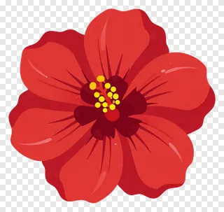 A red hibiscus flower with a yellow center.
