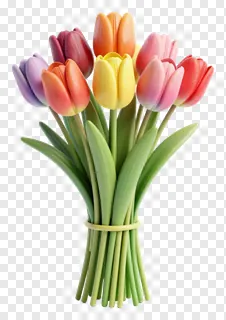 A bouquet of colorful tulips with green stems.