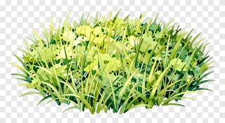 A clump of green grass with watercolor texture.
