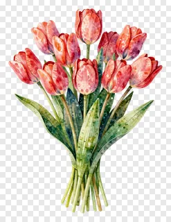 A watercolor bouquet of speckled pink and red tulips.