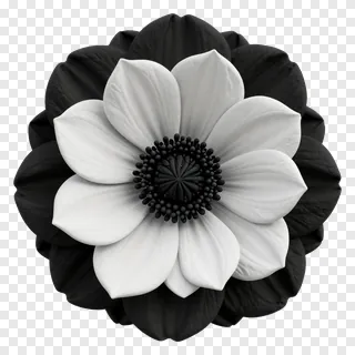 A black and white flower with layered petals.