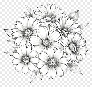 Black and white line art of daisies in a cluster.
