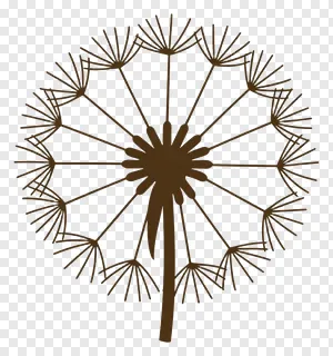 A dandelion seed head with brown outlines.