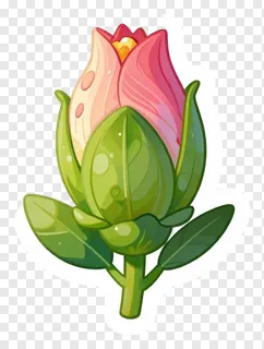A pink hibiscus flower bud opening with green leaves.