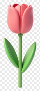 A pink tulip flower with green stem and leaves.