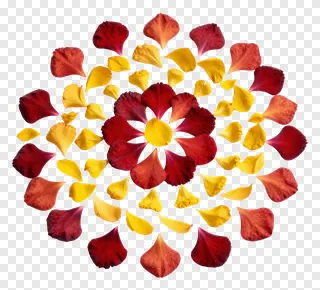 A circular mandala made of red and yellow rose petals.