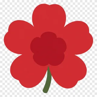 A red flower with five petals.