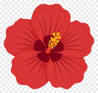 A red hibiscus flower with an amber center.