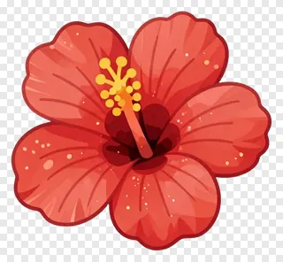 A red hibiscus flower with glossy petals.