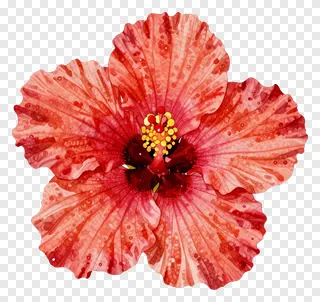 A red hibiscus flower with speckled petals and a yellow center.