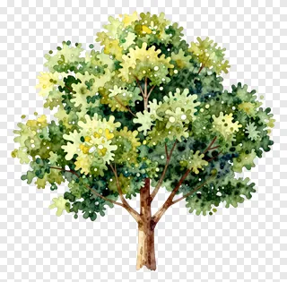 A watercolor tree with green and yellow foliage.