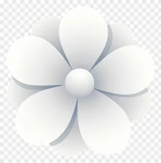 A stylized white flower with smooth petals.