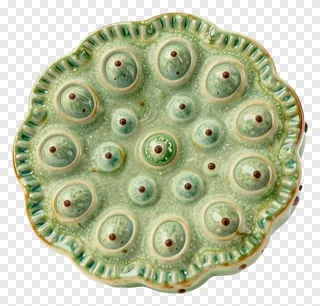 Green ceramic lotus seed pod slice with textured surface.