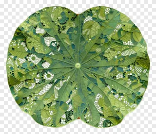 A green lotus leaf with lace overlay design.