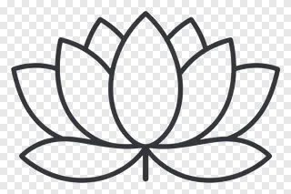 A lotus flower with a tiny stem.