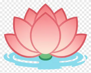 Pink lotus flower blooming above water.
