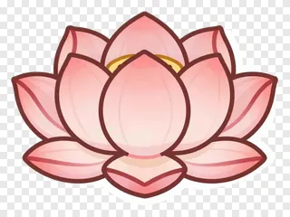 A pink lotus flower with a soft shadow.