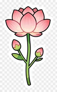 Pink lotus flower with two buds on a stem.