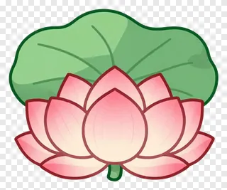 A pink lotus flower with a curled green leaf.