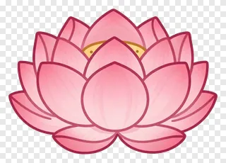 A pink lotus flower with dark outlines.