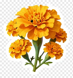 A group of orange marigold flowers with smiling faces.