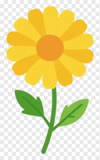 Yellow marigold flower with green stem and leaves.