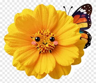 A smiling yellow marigold flower with a butterfly on its right side.