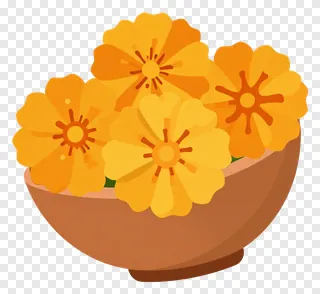 A bowl filled with orange marigold flowers.