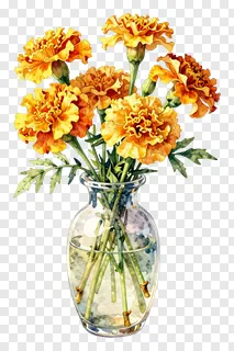 Marigold flowers in a glass vase.