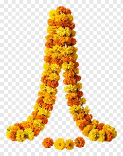 Letter A made of marigold flowers.