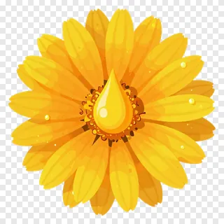 A yellow marigold flower with a dew drop on its center.