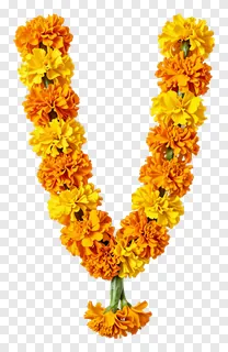 V-shaped marigold flower garland with central drop.