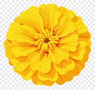 A stylized yellow marigold flower with layered petals.