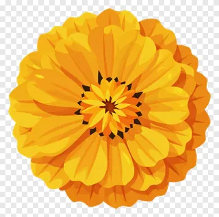 A spherical marigold flower with layered petals.