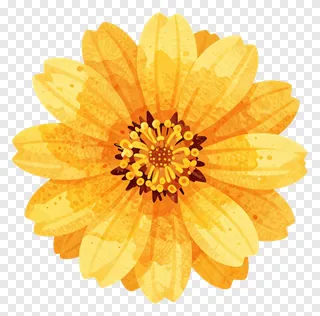 A watercolor-style yellow marigold flower.