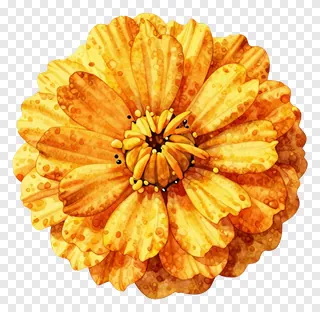 A watercolor painting of a marigold flower with speckled petals.