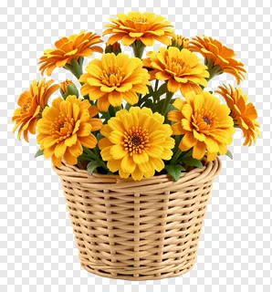 Yellow marigolds in a woven basket.