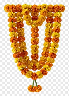 V-shaped marigold garland made of orange and yellow flowers.